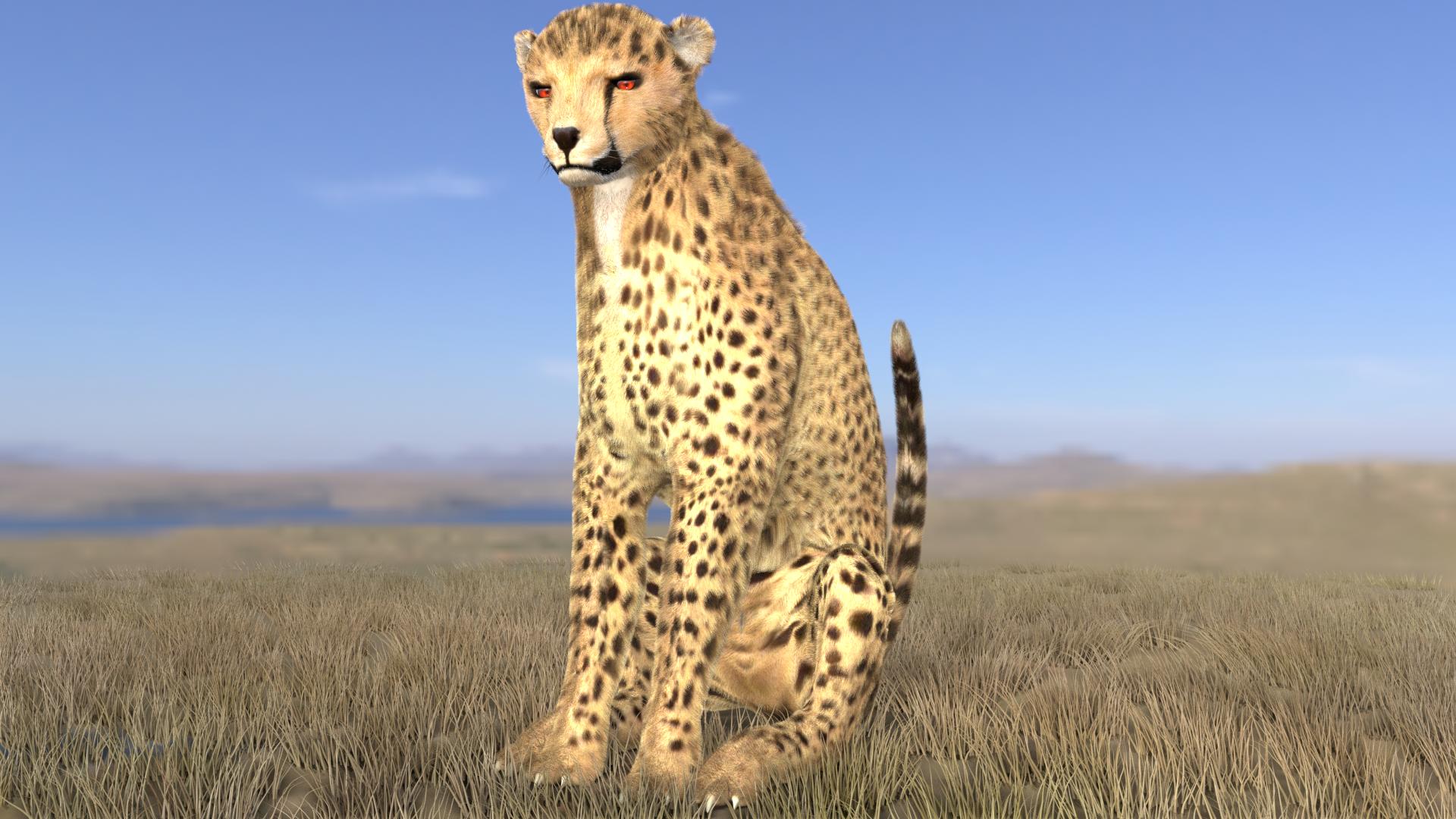 Cheetah preview image 3
